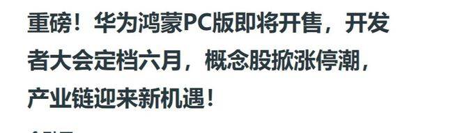 迎来最强风口五大鸿蒙王者有望大涨1000%CQ9电子平台取代Windows国产替代(图2)